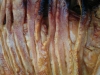 Top Notch  Crunchy Crackling
