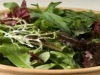 Mixed leaf salad