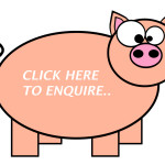 Hog Roast Redditch