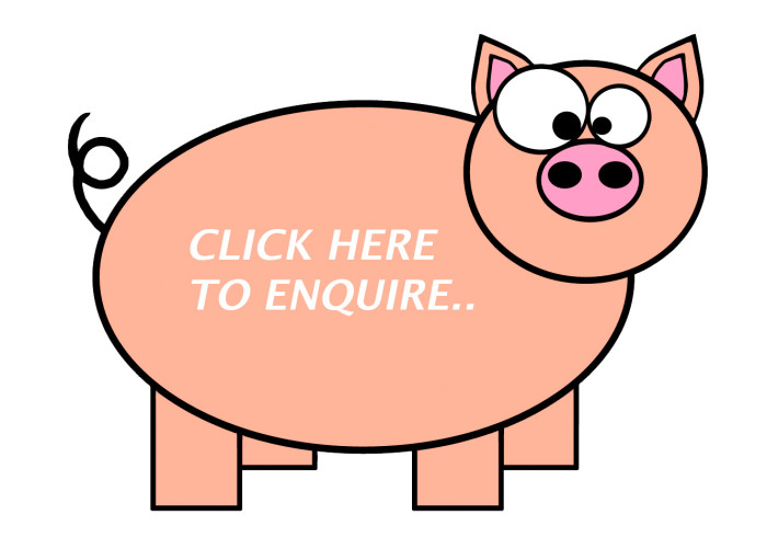 Enquiry Form - Hog Roast Redditch